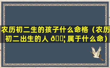 农历初二生的孩子什么命格（农历初二出生的人 🐦 属于什么命）